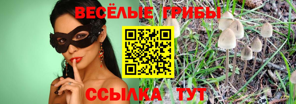 Псилоцибиновые грибы MAGIC MUSHROOMS  Вход с VPN  Галлюциногенные грибы прущие грибы  Михайловка 
